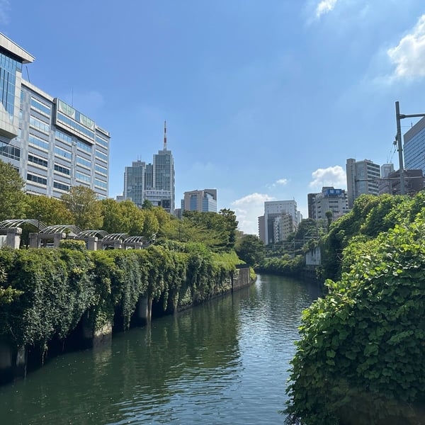 Tokyo Scramble to Yoyogi Park