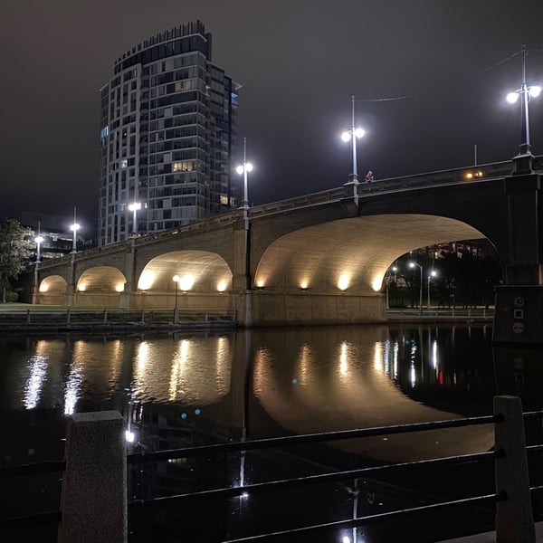 Night Ride through the Arboretum