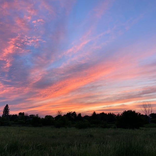 Sunset Ride through Carlington Woods