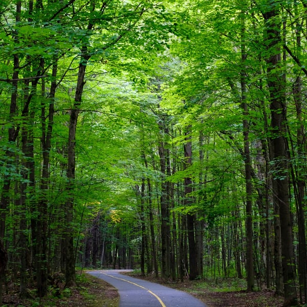 Aylmer through Chemin Pink