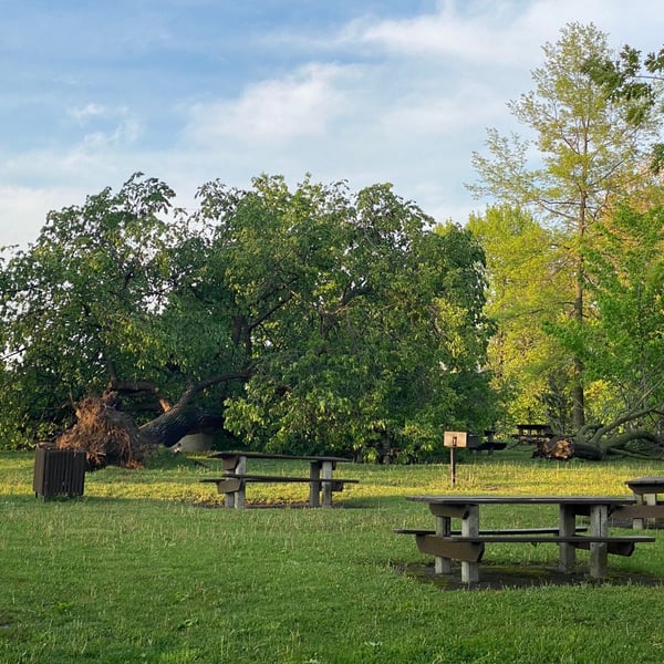 the calm after the storm 