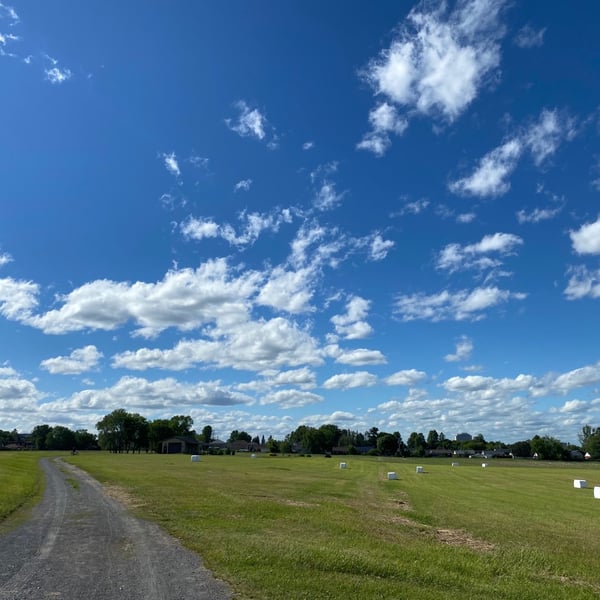 Nice Summer Loop Ride