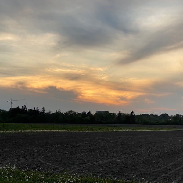 The “I am melting and just want to ride” ride