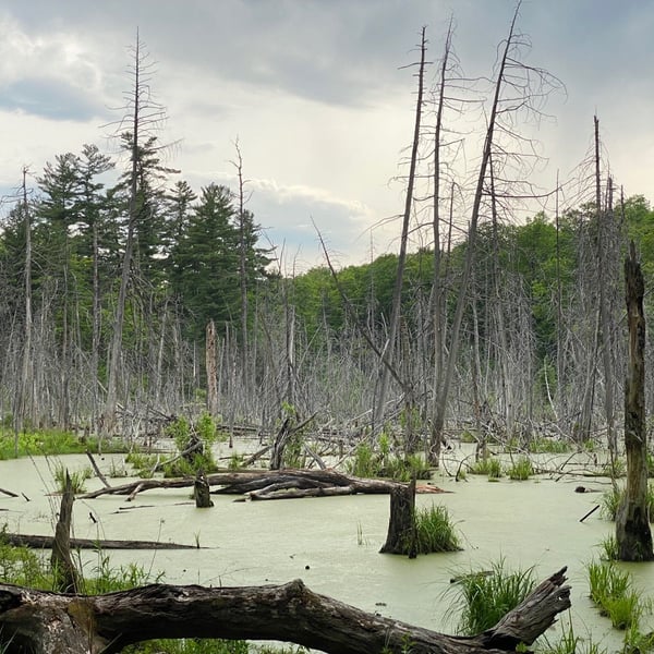 long long gatineau loop 