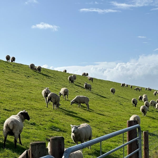 To Bremerhaven #eurobiketrip