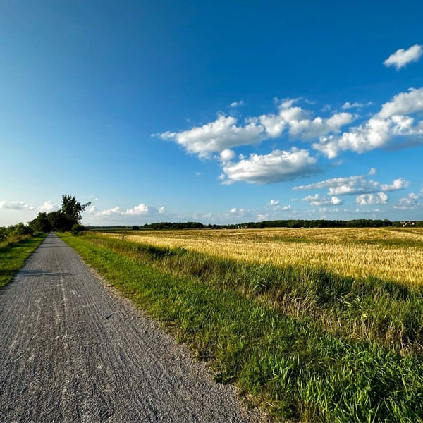 Chaffey’s Lock to Ottawa through Merrickville