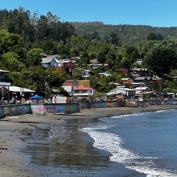 Niebla + Corral 🚵‍♂️
