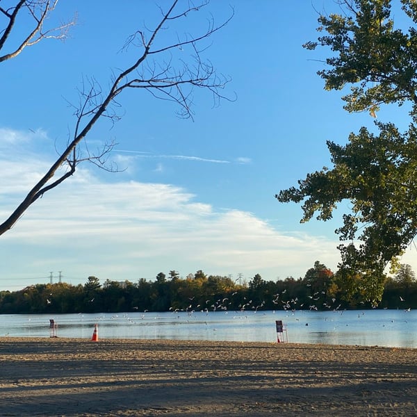 Sprints 🌅 🚴‍♂️💨