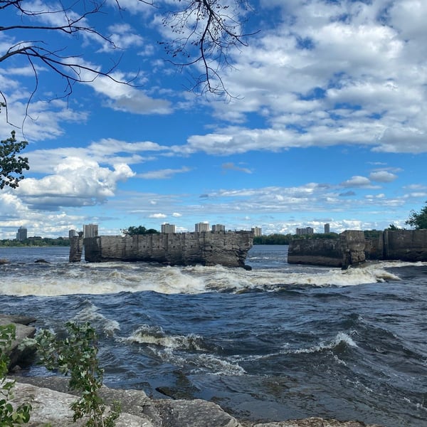 Aylmer with the gang