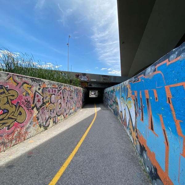 YOLO, longest ride ever