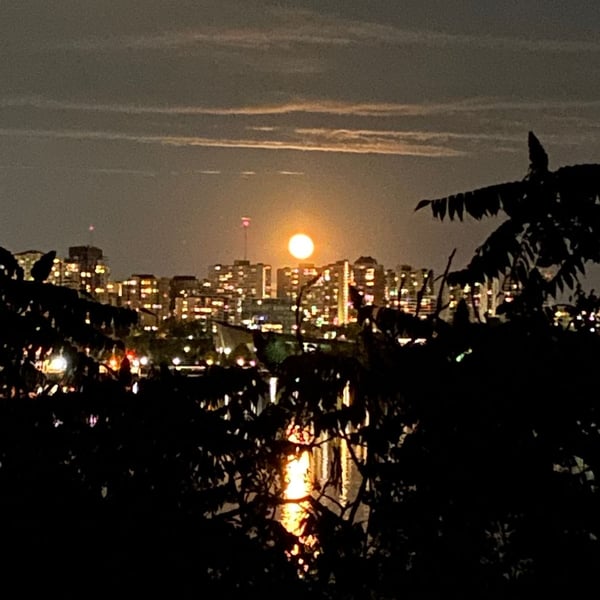 Hunter's Moon: Night Ride to Aylmer