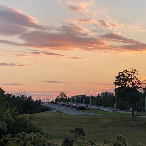 Nice loop around Old Ottawa South