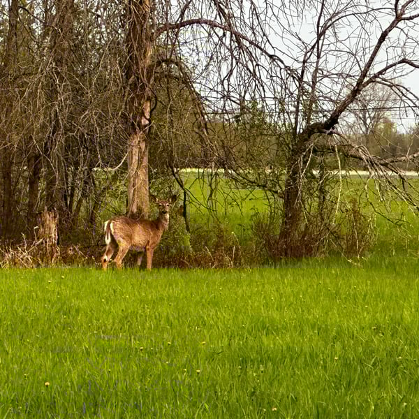 Riding around Shirley’s Bay