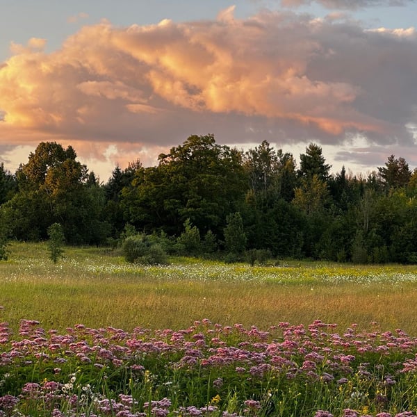 riding to Fort-Coulonge (feat. PPJ)