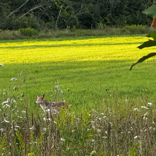 exploring the Trans Canada Trail