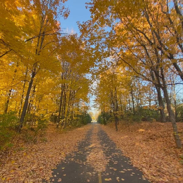 Fall loop around Ottawa