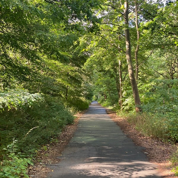 Wandering around Berlin