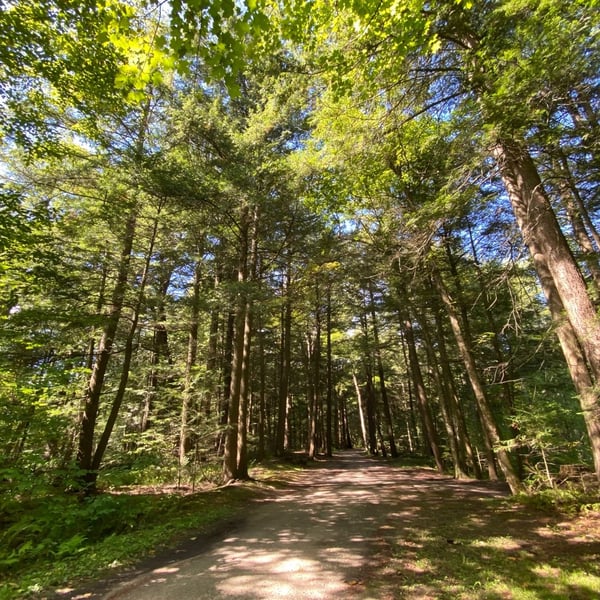 Mountain biking around Montebello