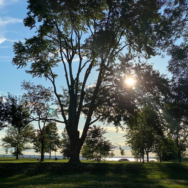 Riding a Rental bike to Britannia