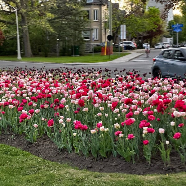 chill ride around the canal