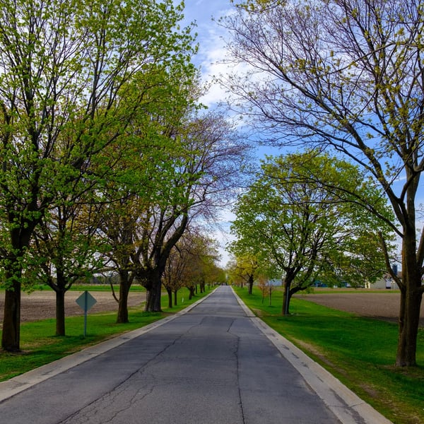 Riding through the Experimental Farm