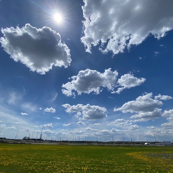 SJAM + Wesley Clover