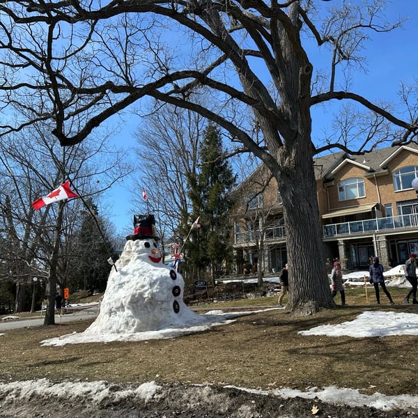 ice-skating by the arboretum